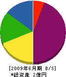 田中工務店 貸借対照表 2009年6月期