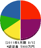 堀内土木 貸借対照表 2011年6月期