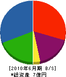 東関東建設 貸借対照表 2010年6月期