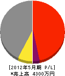 大松サービス 損益計算書 2012年5月期