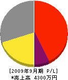笠川工業 損益計算書 2009年9月期