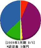 大松建設 貸借対照表 2009年3月期
