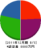 平坂技建工業 貸借対照表 2011年12月期