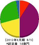 宏誠 貸借対照表 2012年6月期