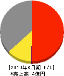 三興 損益計算書 2010年6月期