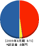 淡島設備 貸借対照表 2009年4月期
