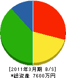 安井技研 貸借対照表 2011年3月期