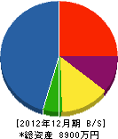 ヒタチ電設 貸借対照表 2012年12月期