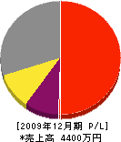 安田電工 損益計算書 2009年12月期