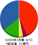 成瀬電気工事 貸借対照表 2009年3月期