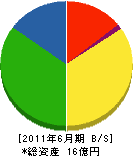 前田工業 貸借対照表 2011年6月期