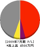松村組 損益計算書 2009年7月期