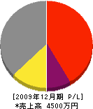 辻村土建 損益計算書 2009年12月期