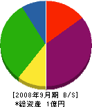 日本流通フォーラム 貸借対照表 2008年9月期