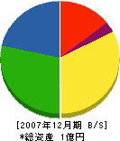 平山茂建設 貸借対照表 2007年12月期