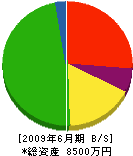 協栄設備工業 貸借対照表 2009年6月期 協栄設備工業 貸借対照表 2009年6月期