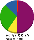 栃木コンクリート総業 貸借対照表 2007年11月期