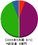 大嶋工業 貸借対照表 2009年9月期
