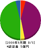 薩摩舗道工業 貸借対照表 2008年9月期