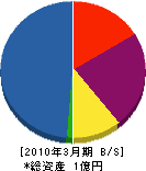 野呂瀬建設 貸借対照表 2010年3月期