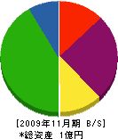 小須田造園 貸借対照表 2009年11月期
