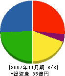 矢野組工業 貸借対照表 2007年11月期