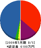 竜新電気工事 貸借対照表 2009年5月期