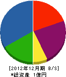 南陽総建 貸借対照表 2012年12月期