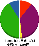 桐山 貸借対照表 2008年10月期