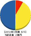 青江建工 貸借対照表 2012年3月期