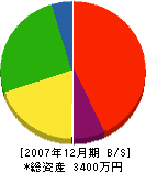 丸熊熊谷工務店 貸借対照表 2007年12月期