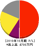 岩田電気商会 損益計算書 2010年10月期
