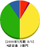 豊田 貸借対照表 2008年5月期