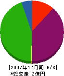 田村興業 貸借対照表 2007年12月期 田村興業 貸借対照表 2007年12月期