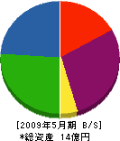 リサイクル松栄 貸借対照表 2009年5月期