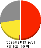 フリクト日本 損益計算書 2010年6月期