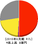 フリクト日本 損益計算書 2010年6月期 フリクト日本 損益計算書 2010年6月期