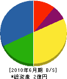 城戸建設工業 貸借対照表 2010年6月期