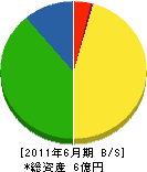 丸京建設 貸借対照表 2011年6月期