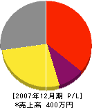 龍松建設 損益計算書 2007年12月期