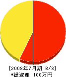 松岡組 貸借対照表 2008年7月期