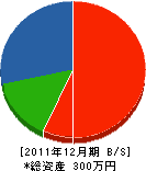 菅根組 貸借対照表 2011年12月期
