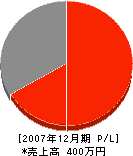 昭和工業 損益計算書 2007年12月期