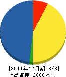 丸川土木 貸借対照表 2011年12月期