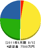 岩村 貸借対照表 2011年6月期