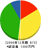 田坂工務店 貸借対照表 2008年12月期