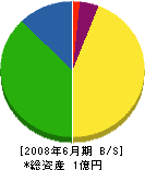 新興土木重機 貸借対照表 2008年6月期