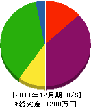 恵松園 貸借対照表 2011年12月期