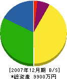 サカエ電気商会 貸借対照表 2007年12月期 サカエ電気商会 貸借対照表 2007年12月期