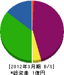ヨシダコーポレーション 貸借対照表 2012年3月期